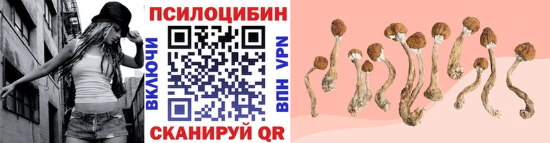 Псилоцибиновые грибы Psilocybine cubensis Константиновск