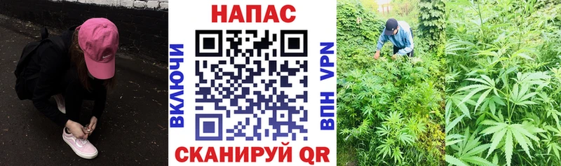 продажа наркотиков  Константиновск  Шишки марихуана индика 